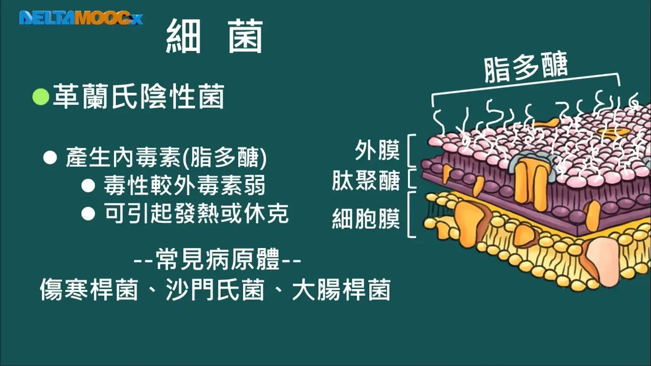 高中選修生物III_動物的構造與功能_防禦與免疫_Part 1 病原體_王涵青