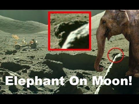 Elephant On Moon In NASA Apollo 17 Photo! April 20, 2019, UFO Sighting News.