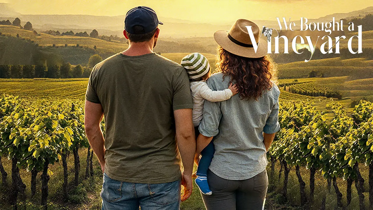 We Bought A Vineyard