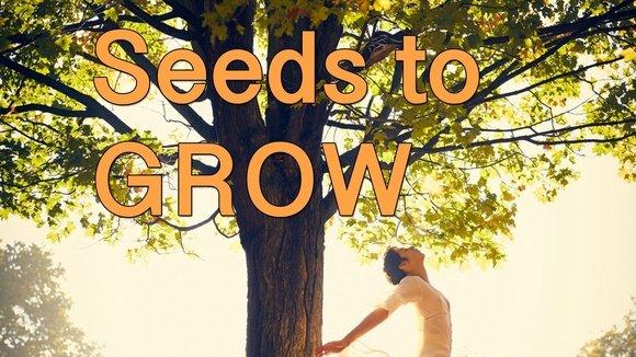 Seeds to Grow