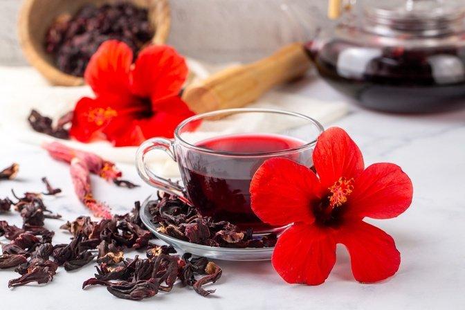 Hibiscus: The Crimson Superflower That Heals, Nourishes, and Unites Cultures