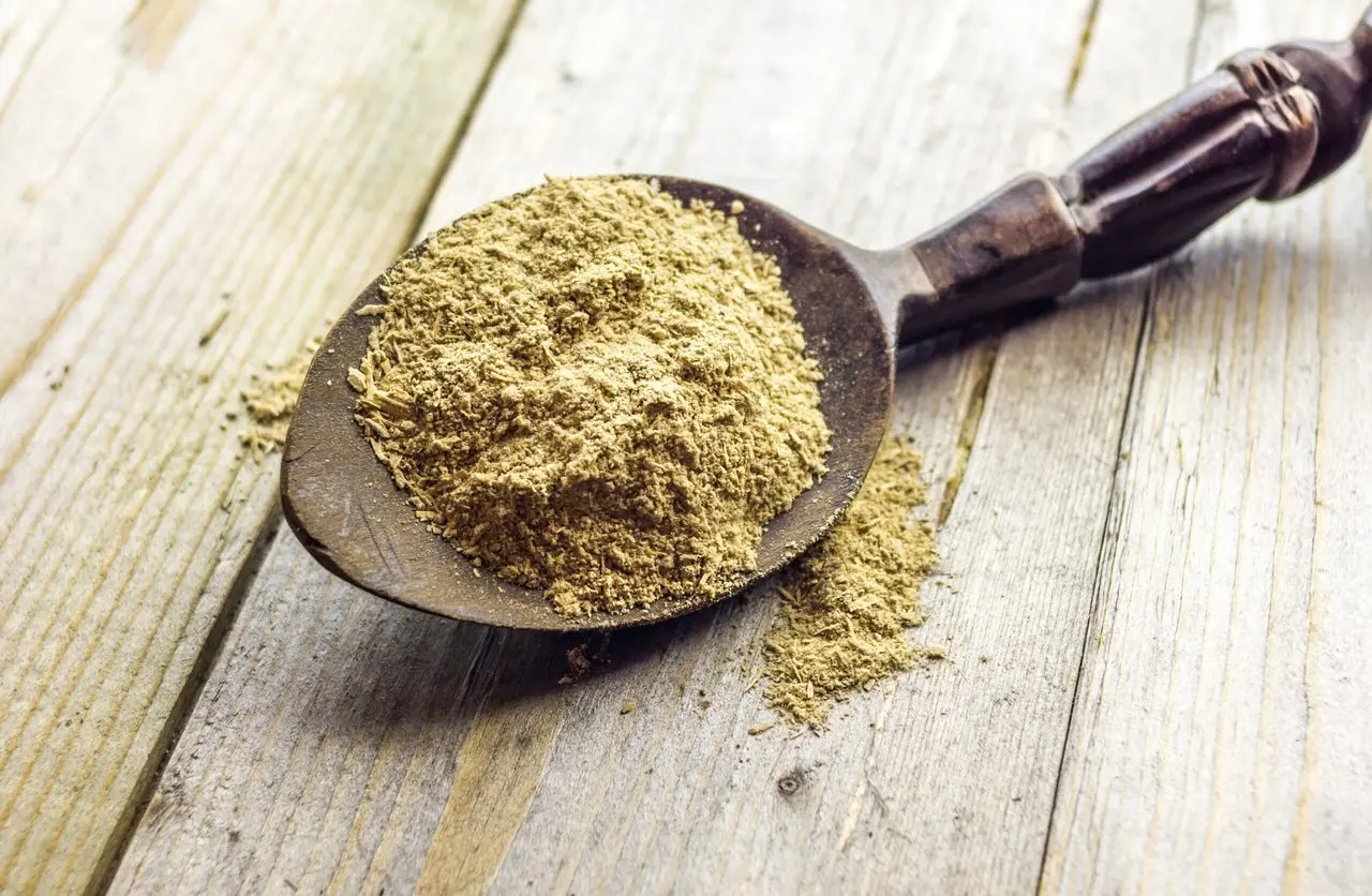 Kava: Pacific Island Tradition Finds Global Recognition for Wellness and Healing