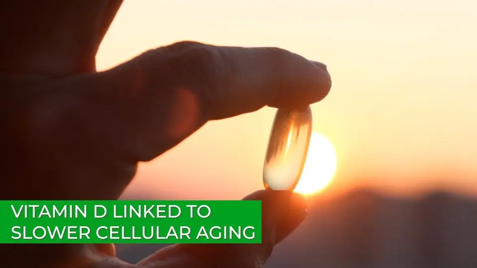 Vitamin D Linked to Slower Cellular Aging