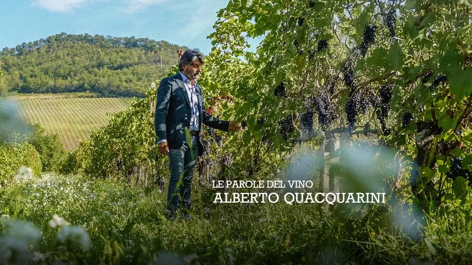 The Words of Wine: Alberto Quacquarini
