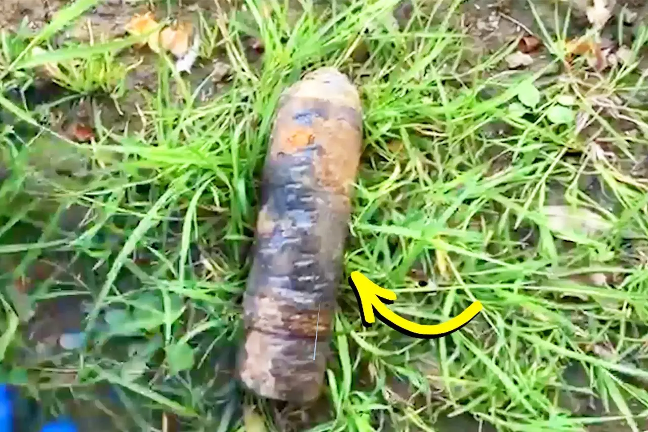 Fisher Pulls Mysterious Object from River, Shocked by What Police Say It Really Is