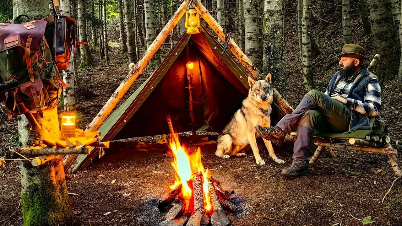 Forest Camping with My Wolf on a Rainy Day