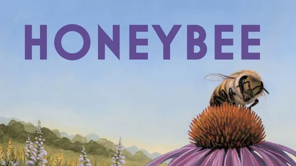 Honeybee