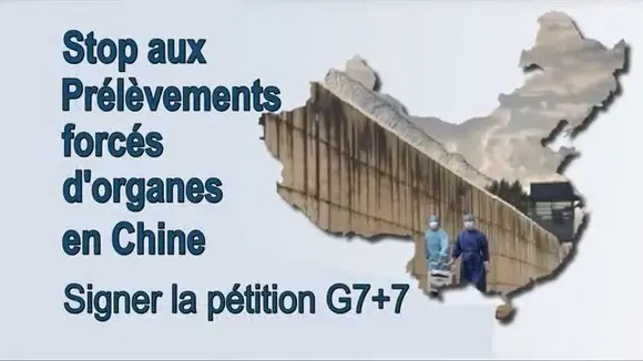 Version française corrigée de soutien de la pétition G7+7 lancée par DAFOH et ETAC