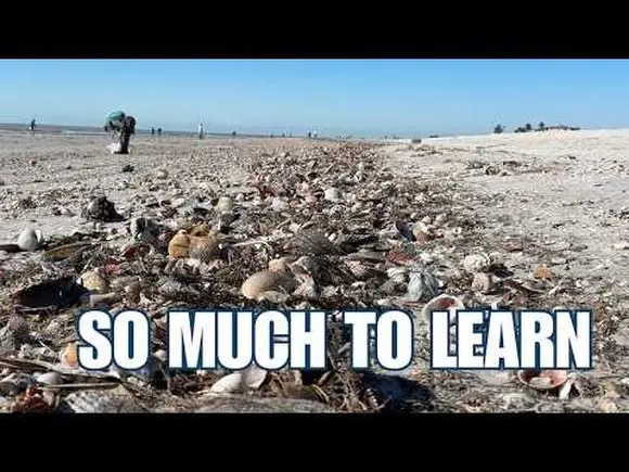 The beach is a great teacher and I've learned so much!