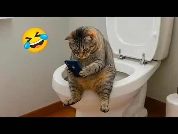 Funniest Cat Videos of 2026 😂😻 Try Not to Laugh😹