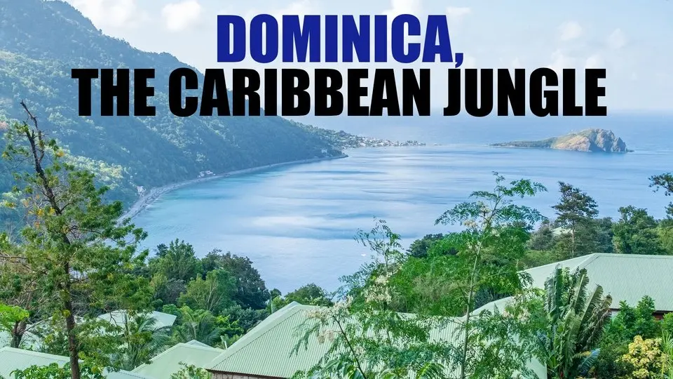 Dominica, the Caribbean Jungle