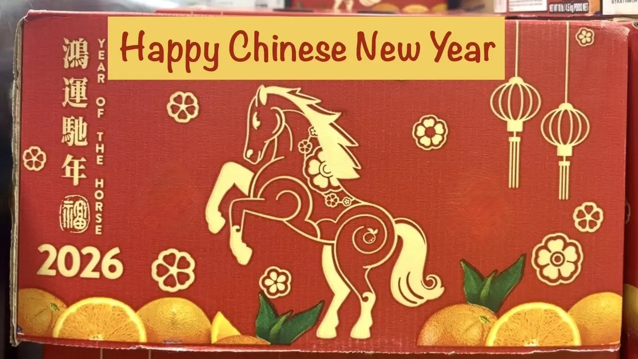 Happy Chinese New Year –– Year of the Horse! Are you ready? #chinesenewyear #lunarnewyear #celebration