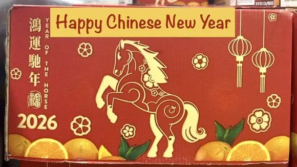 Happy Chinese New Year –– Year of the Horse! Are you ready? #chinesenewyear #lunarnewyear #celebration