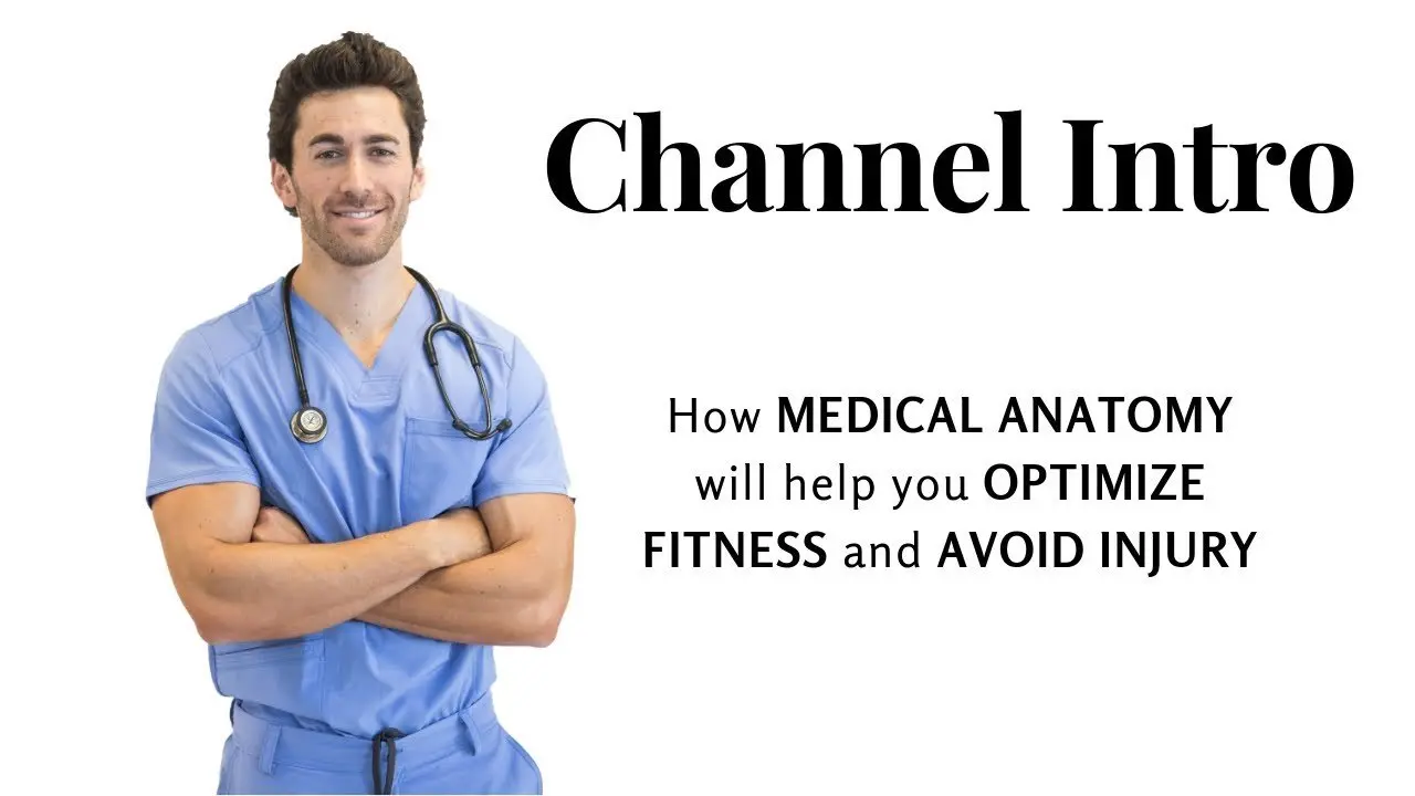 How MEDICAL ANATOMY will help you OPTIMIZE FITNESS and AVOID INJURY