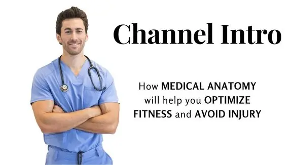 How MEDICAL ANATOMY will help you OPTIMIZE FITNESS and AVOID INJURY