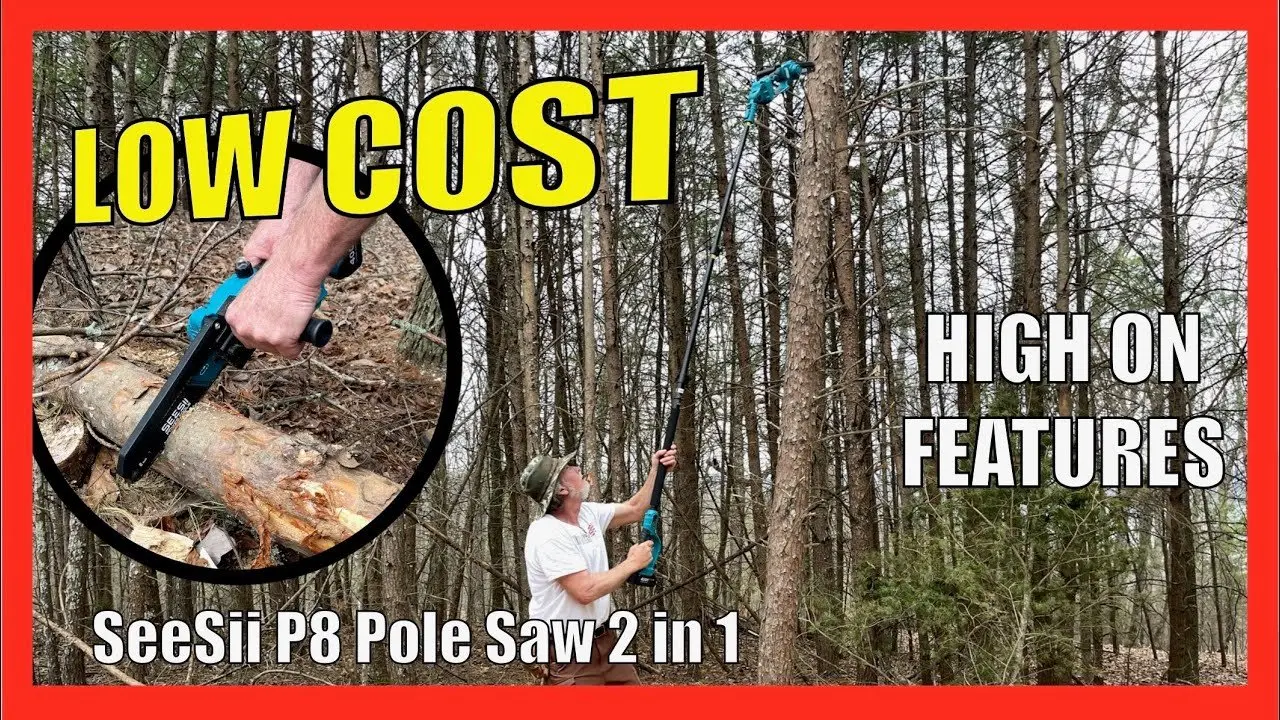 This Budget Chainsaw has some Cool Features