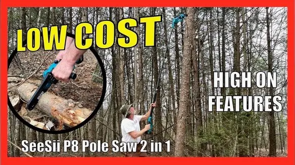 This Budget Chainsaw has some Cool Features