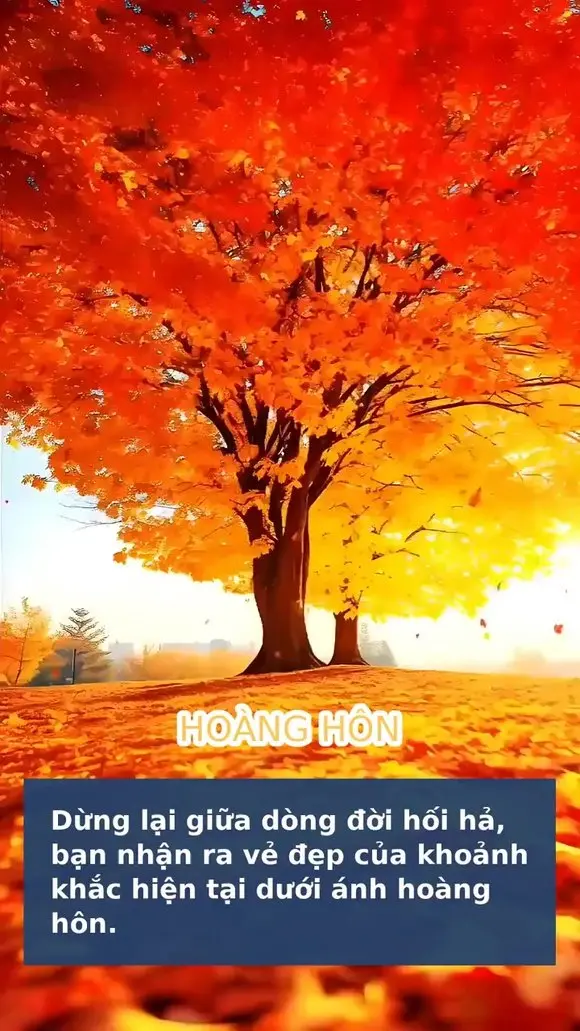 Hành trình trở về chính mình tìm lại ánh sáng và bình yên nội tại