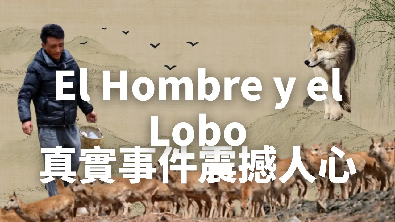 Entre el hombre y el lobo hay mucho odio y caza, pero también existe un poco de la calidez preciosa de la bondad.