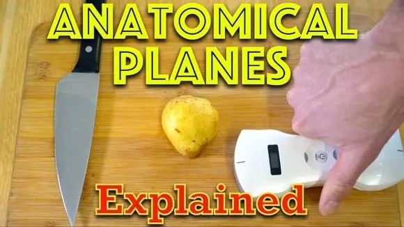 Understanding Anatomical Planes of the Body... With a Pear! - Clinical Skills - Dr Gill