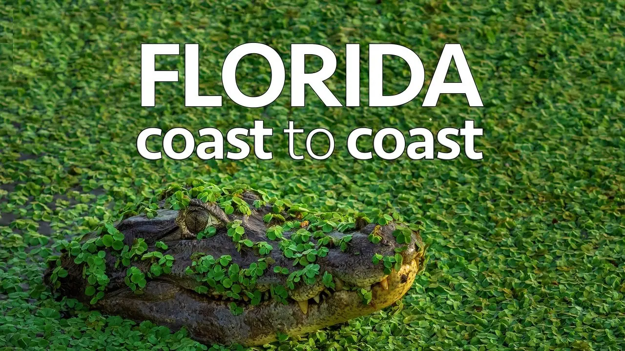 Florida Coast to Coast