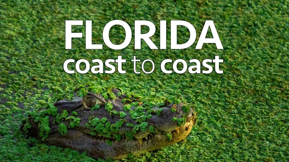 Florida Coast to Coast