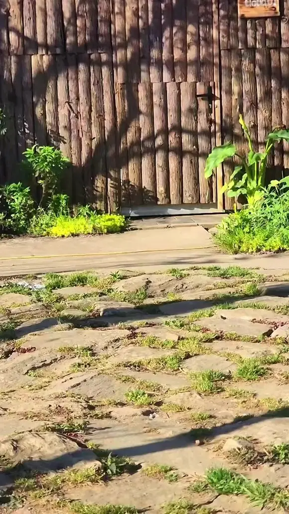 Sắc xuân về trên dẻo cao