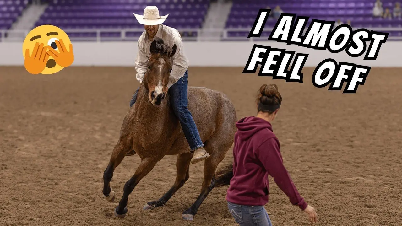 I almost FALL OFF at the World Equestrian Center!