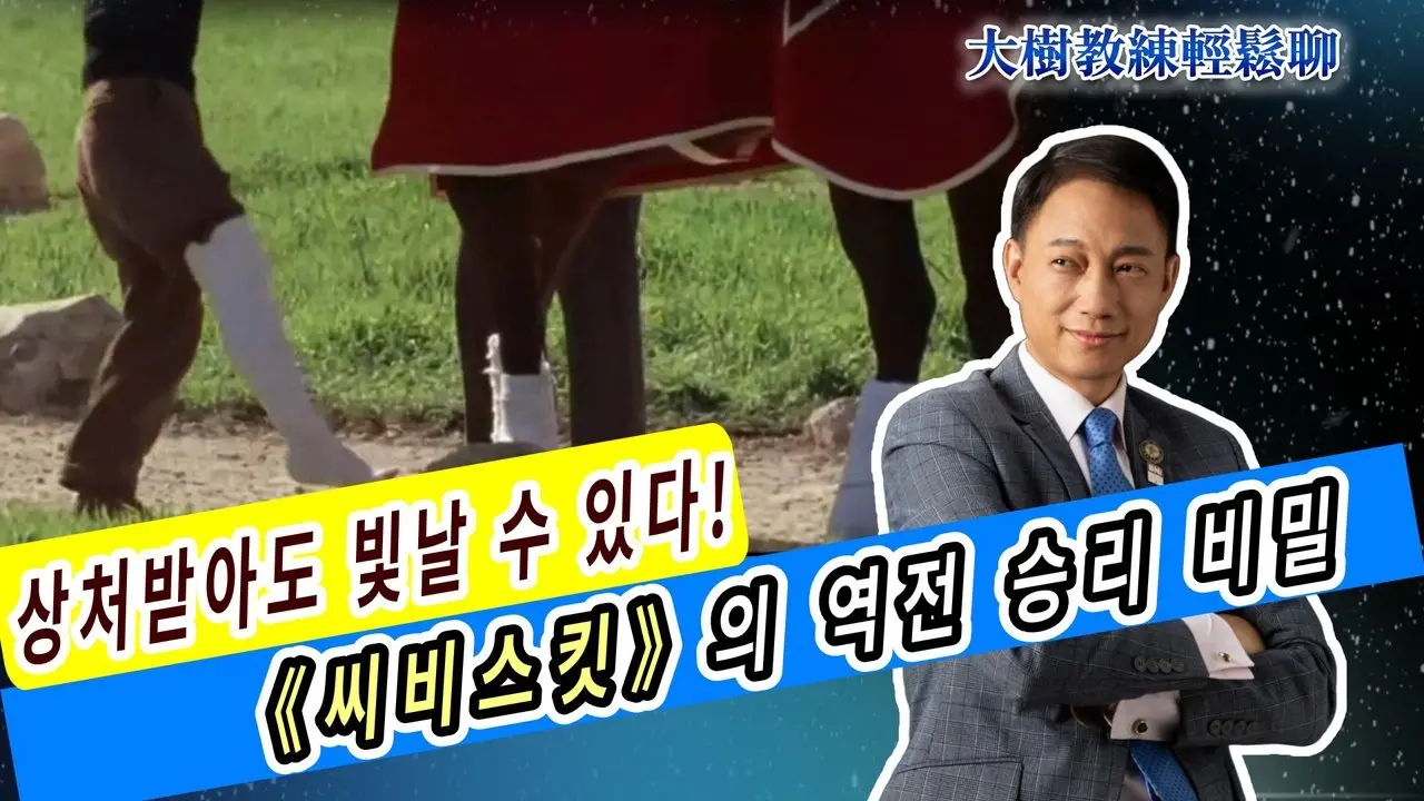 상처받아도 빛날 수 있다! 《씨비스킷》의 역전 승리 비밀#海餅乾俱樂部