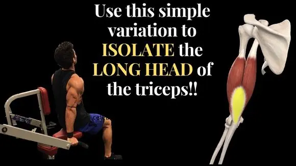 TRICEP PUSHDOWN VARIATON for MAX CONTRACTION of the LONG HEAD
