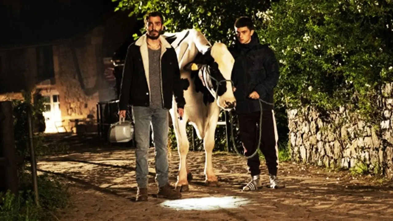 豆瓣百亿票房电影 真正的快乐来源于内心