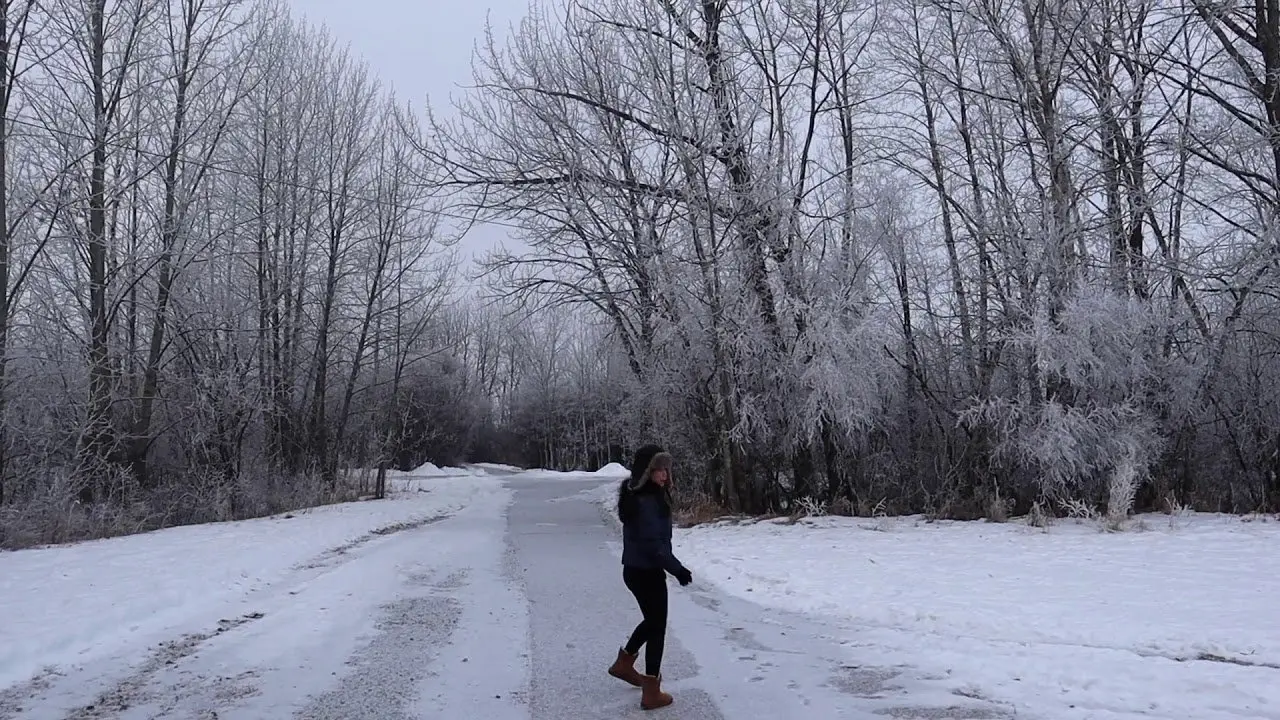 Frosty Day - Winter Wonderland Canada | Beautiful Winter