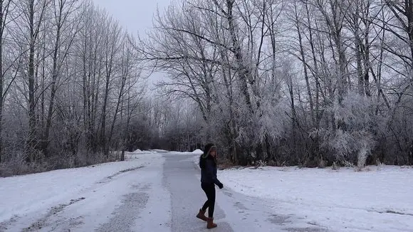 Frosty Day - Winter Wonderland Canada | Beautiful Winter