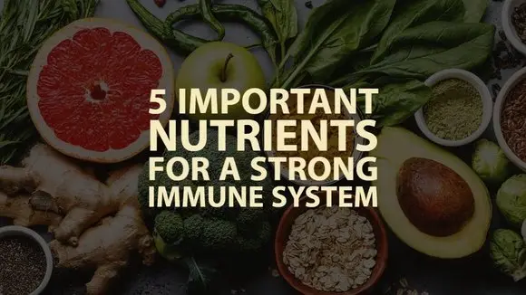 The 5 Very Important Nutrients for Your Immune System