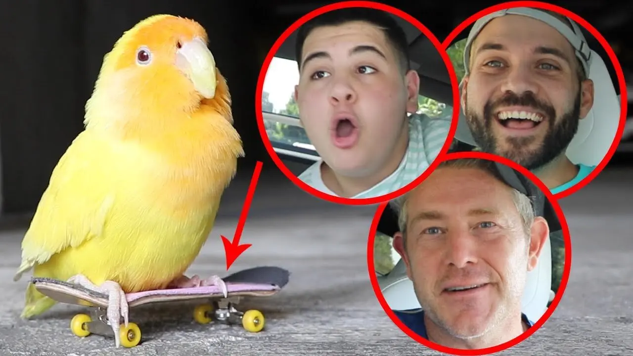 SURPRISING BEST FRIEND WITH SKATEBOARDING BIRD!!