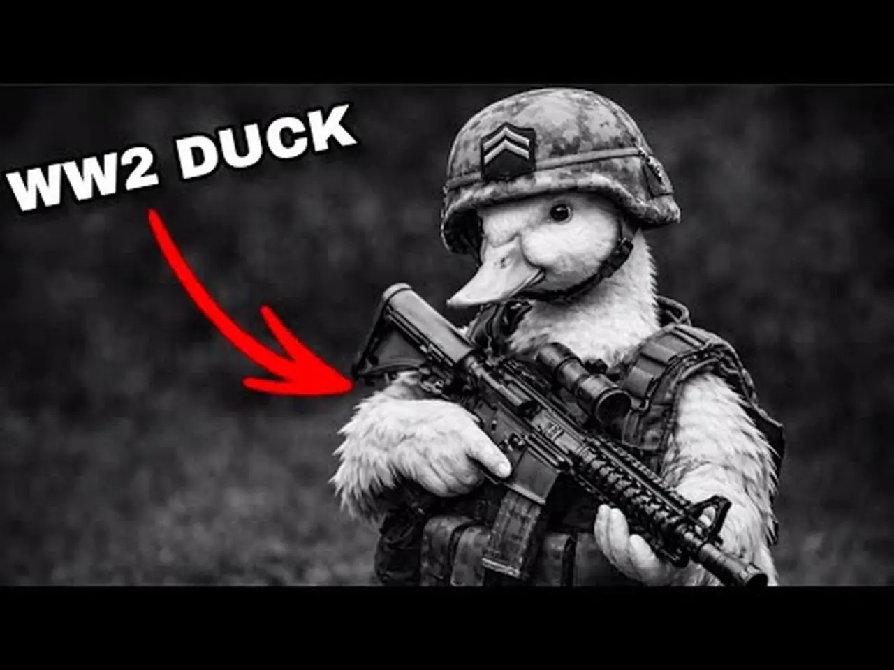 Sergeant Siwash: The Duck That Fought in World War II